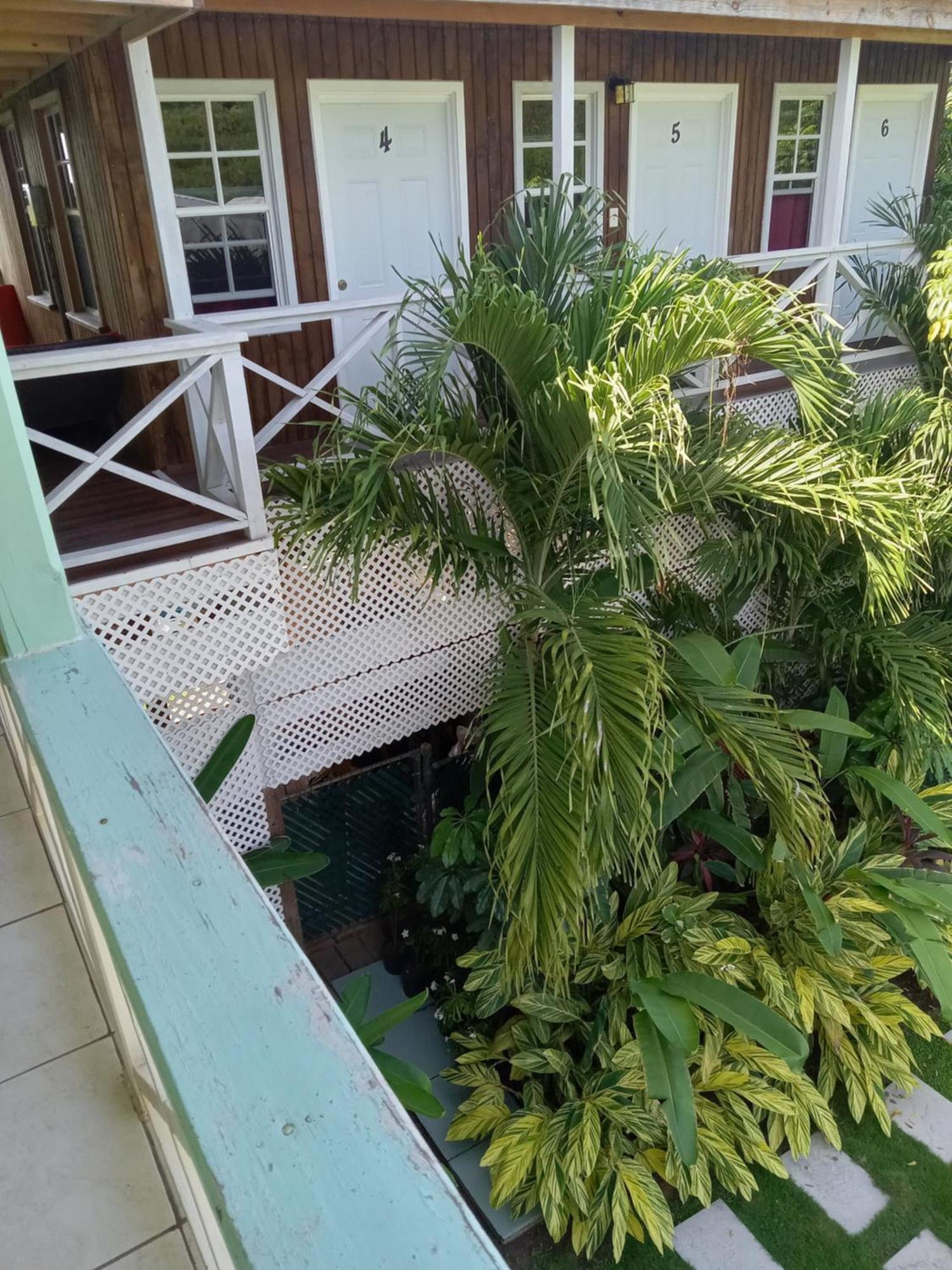 Apartment Unforgetable Gardens Falmouth Harbour エクステリア 写真