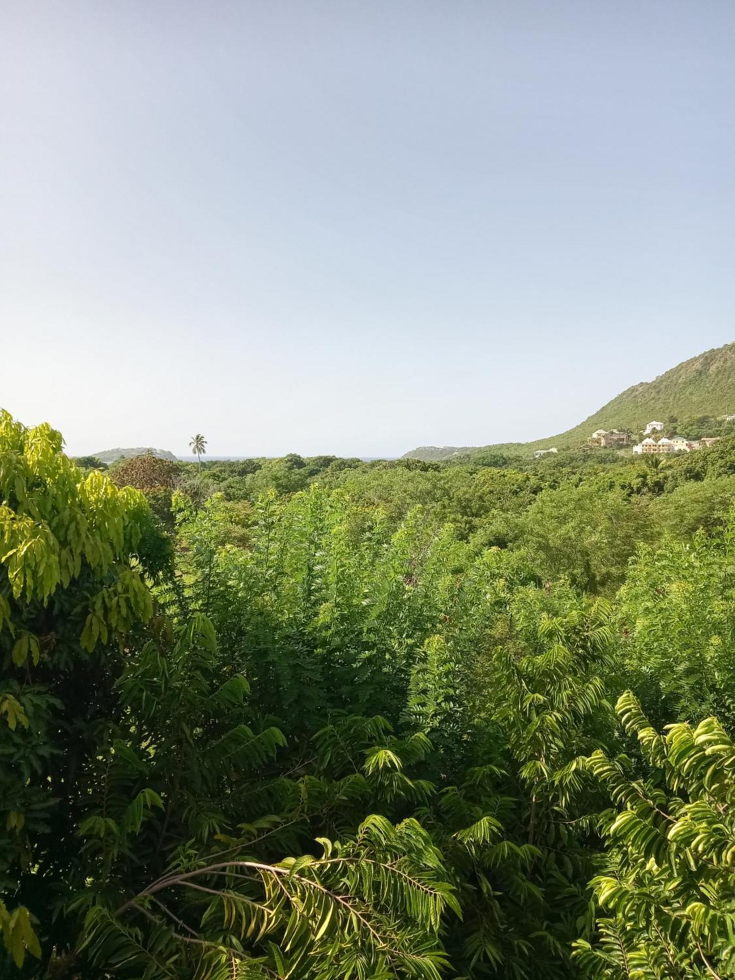 Apartment Unforgetable Gardens Falmouth Harbour エクステリア 写真