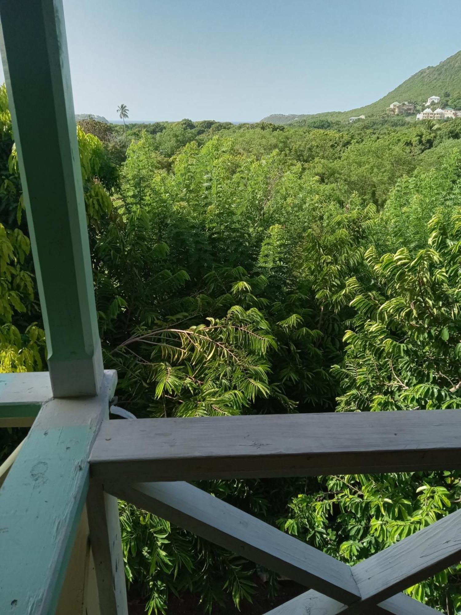 Apartment Unforgetable Gardens Falmouth Harbour エクステリア 写真