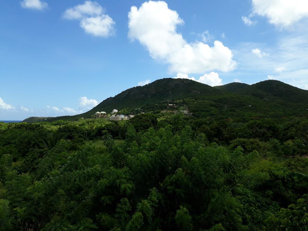Apartment Unforgetable Gardens Falmouth Harbour エクステリア 写真